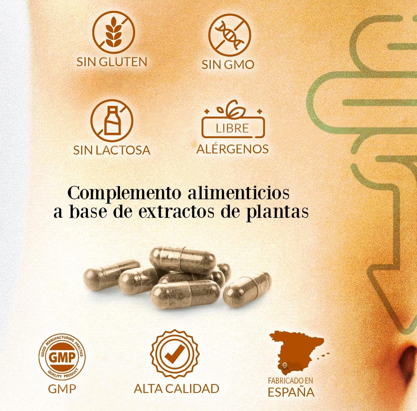 Evacuaplus Complex 30 Cápsulas – Alivio Natural para tu Bienestar Digestivo®